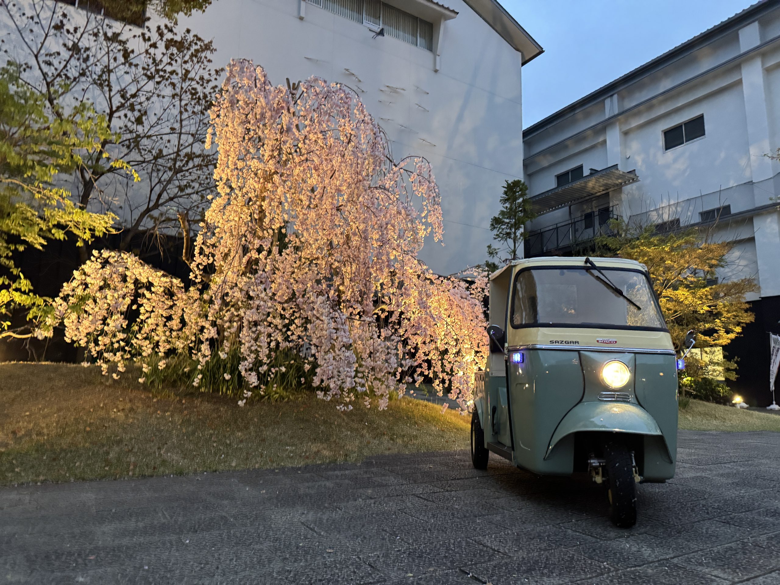 6C02CA4A-8318-4D52-B9BE-